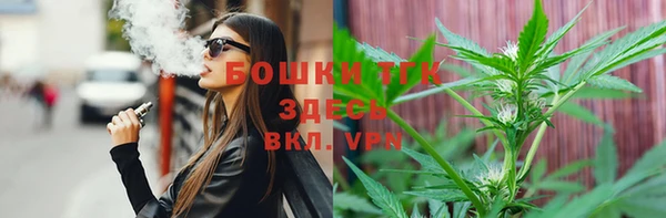 шишки Арсеньев