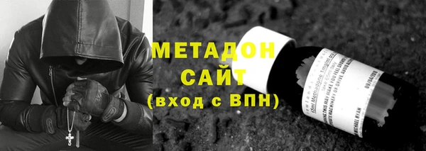 шишки Арсеньев
