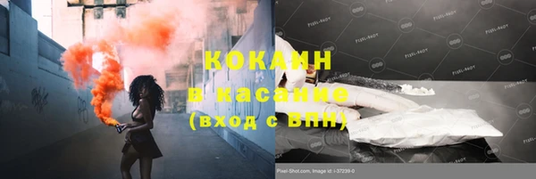 сатива Алзамай