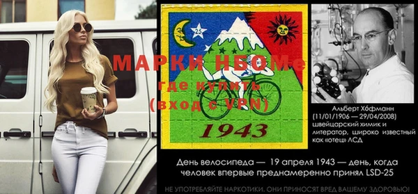 шишки Арсеньев