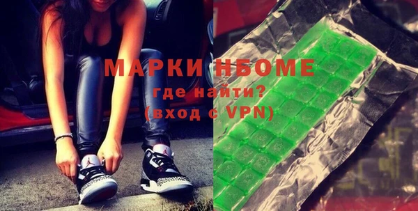 шишки Арсеньев
