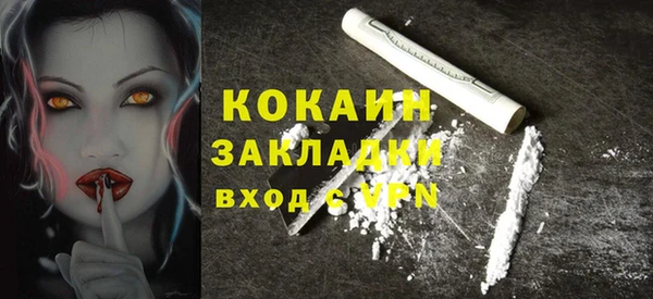 шишки Арсеньев