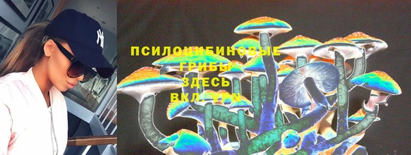 шишки Арсеньев
