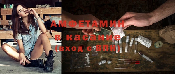 шишки Арсеньев