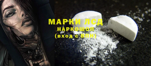 шишки Арсеньев
