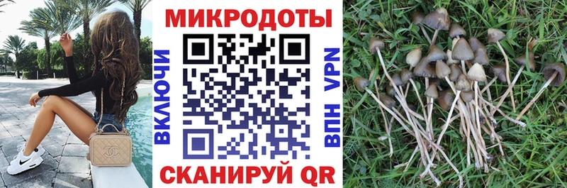 Псилоцибиновые грибы мицелий  гидра как войти  Пушкино 